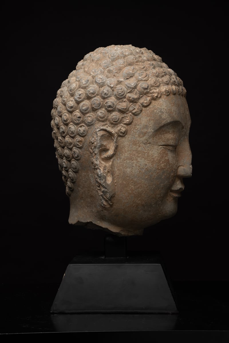 Sui Stone Head of a Buddha, 581 CE - 618 CE