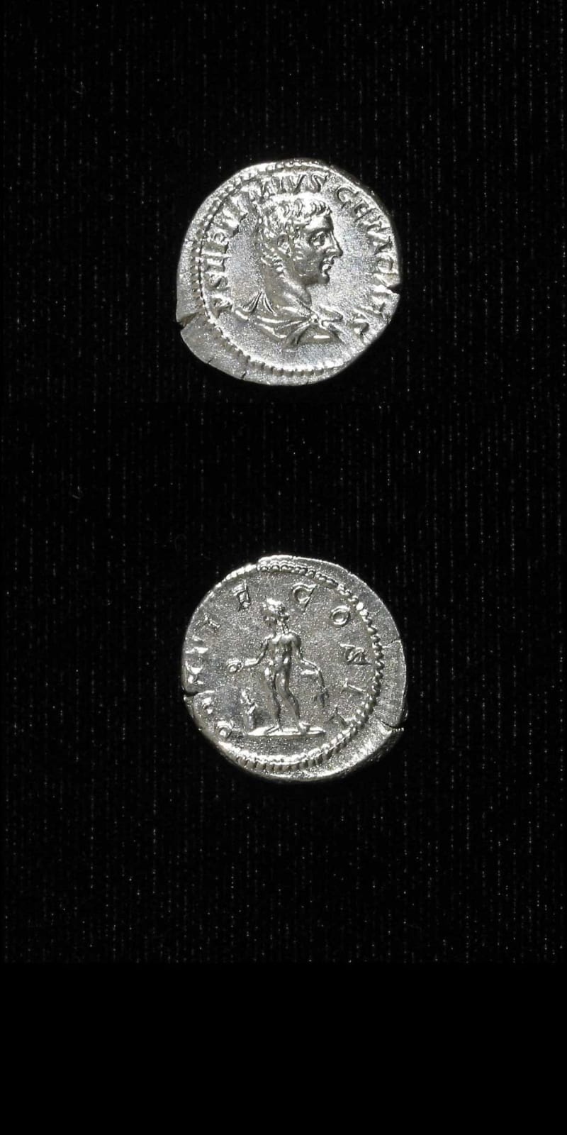 Silver Denarius of Geta Struck While Caesar, 202 CE - 209 CE