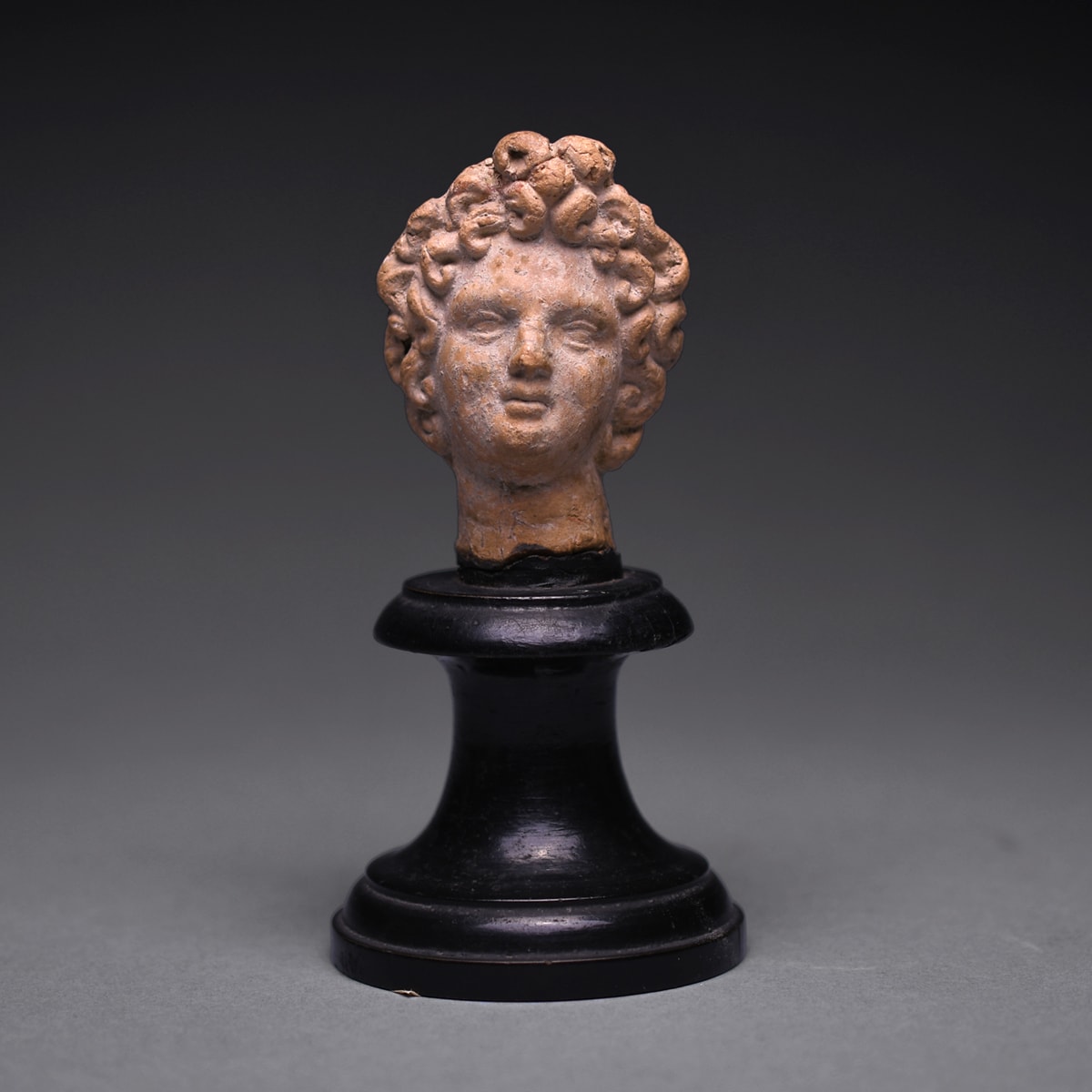 Hellenistic Terracotta Head of a Young Man