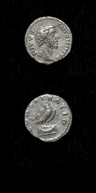Silver Denarius of Emperor Antoninus Pius Issued Posthumously by Marcus Aurelius and Lucius Verus, 161 CE - 162 CE