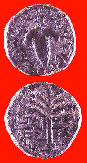 Bronze Coin Minted During the Bar Kochba Revolt, 132 CE - 133 CE