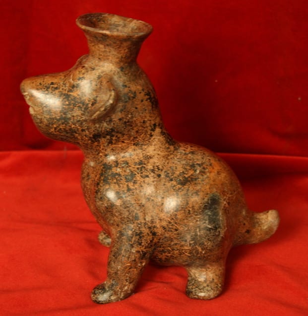 Colima Vessel in the Form of a Dog, 300 BCE - 300 CE