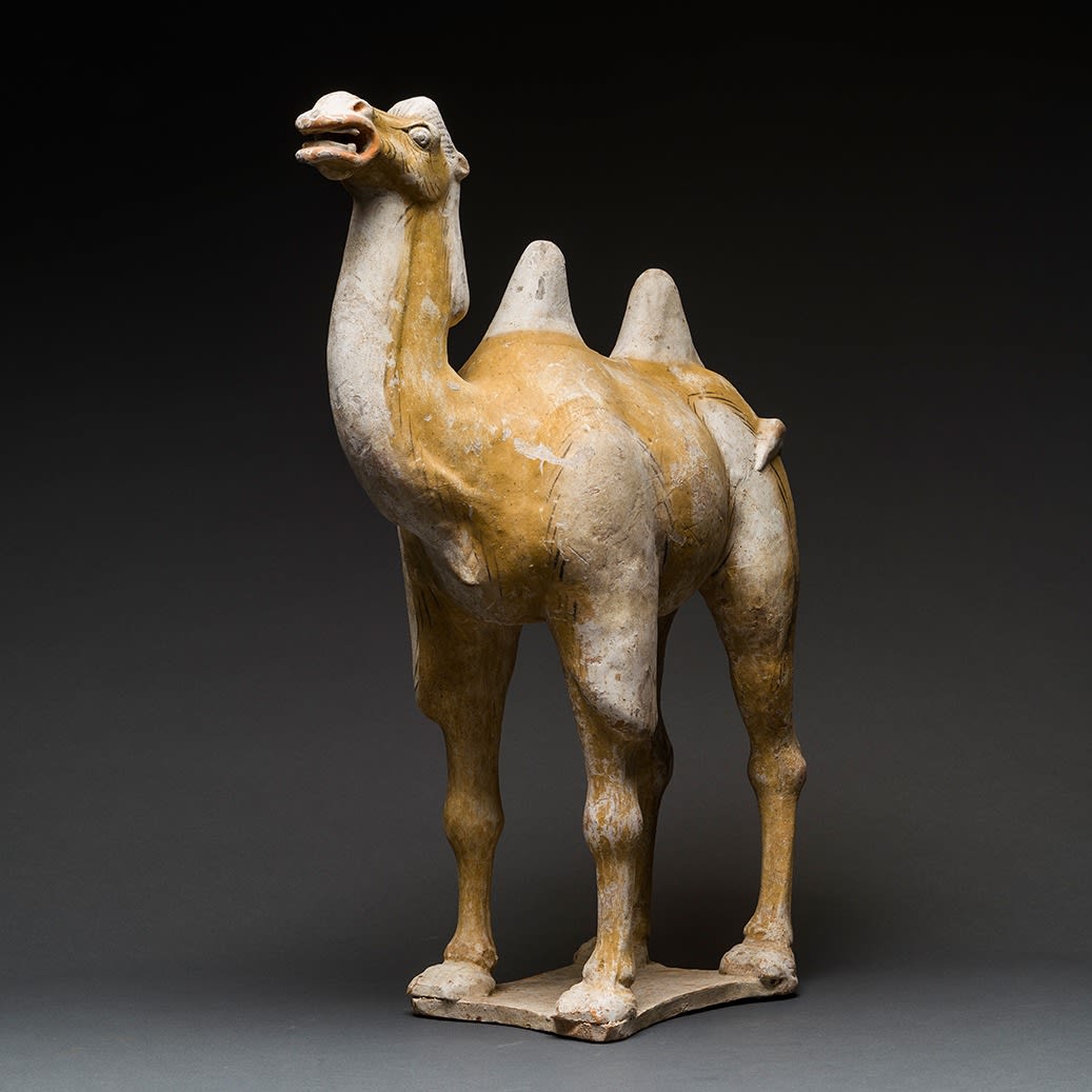 Tang Painted Terracotta Sculpture of a Camel with Removable Foreign Rider, 618 CE - 906 CE