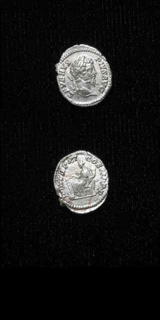 Silver Denarius of Emperor Septimius Severus, 198 CE - 211 CE