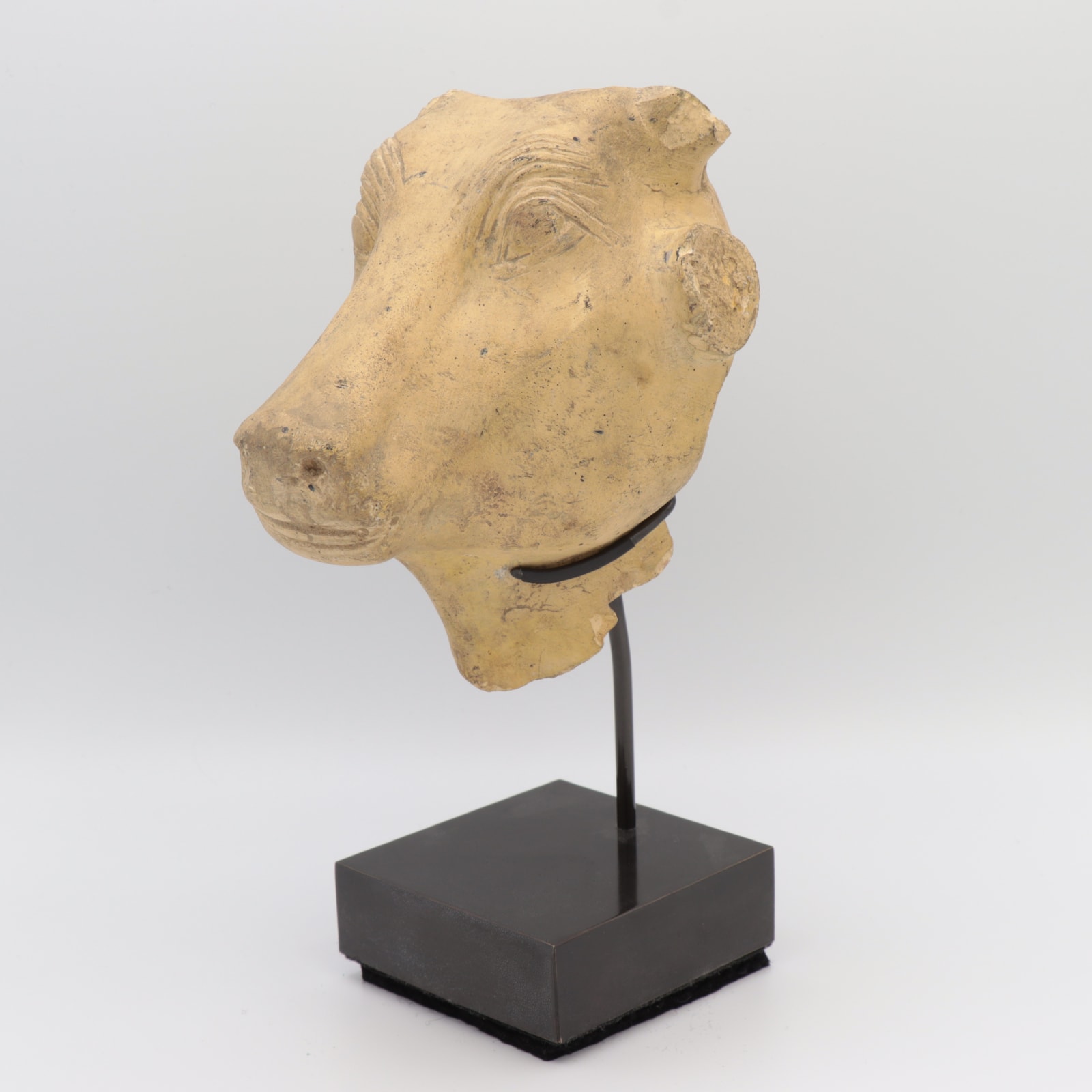 Late Dynastic Limestone Head of the Apis Bull, c. 600 to 400 BCE