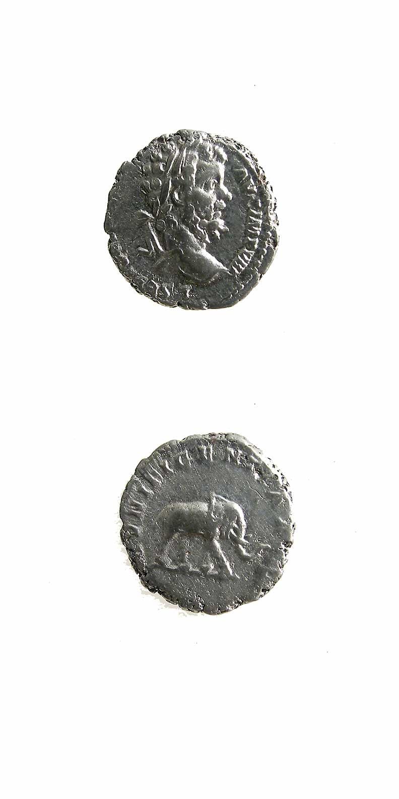 Silver Denarius of Emperor Septimius Severus, 197 CE