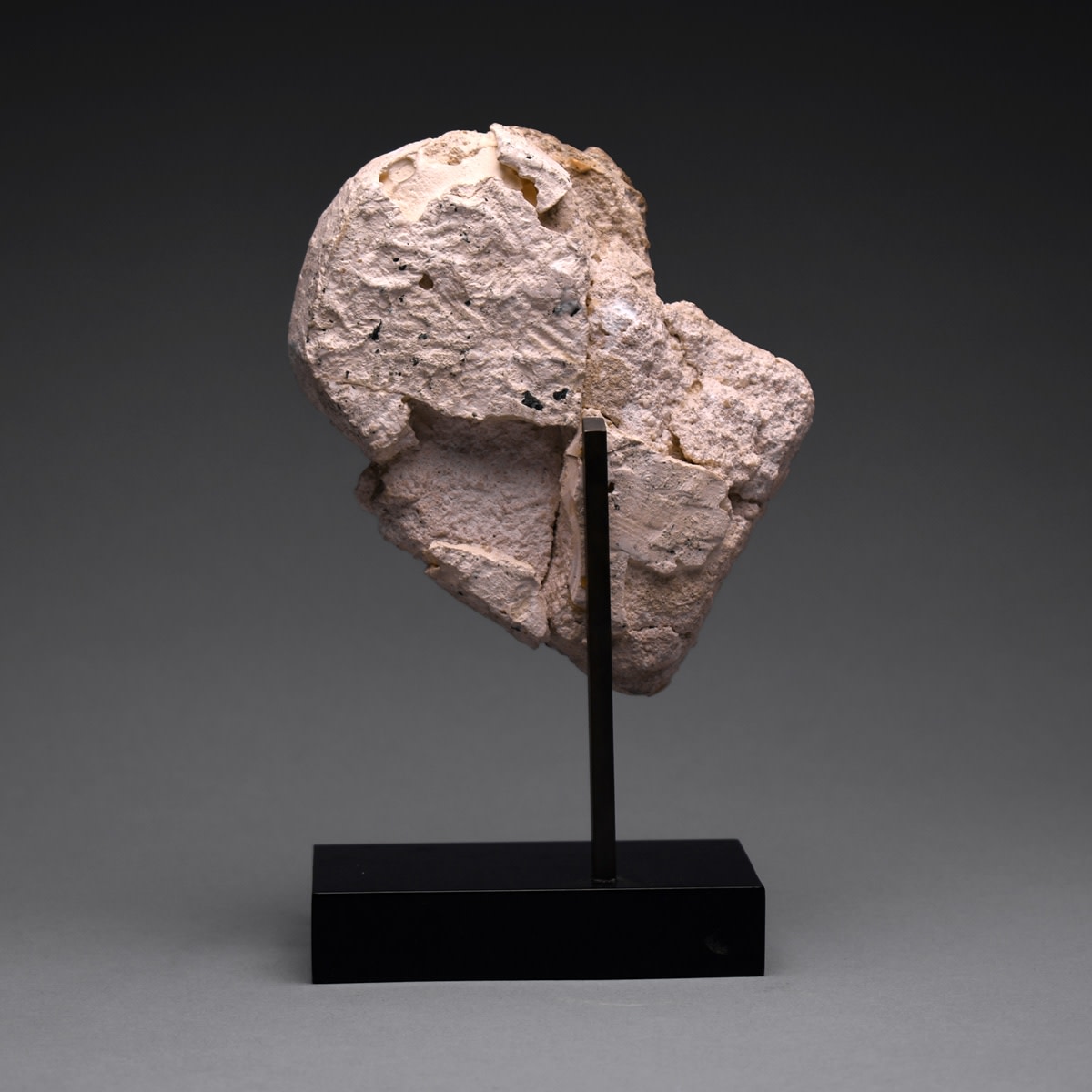 Stucco Relief Fragment of a Man in Profile