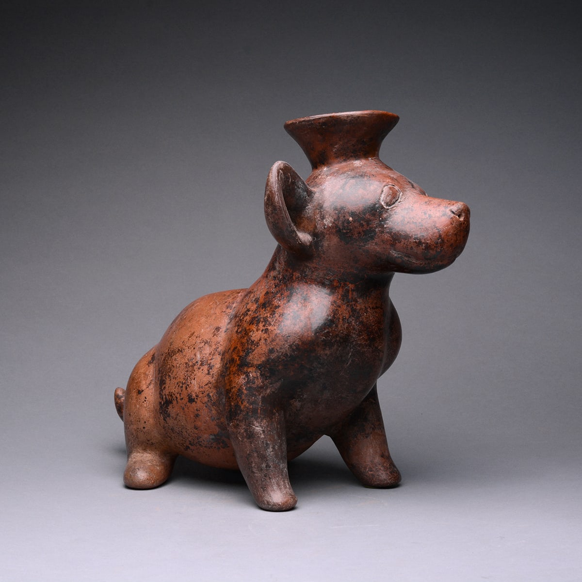 Colima Terracotta Vessel in the Form of a Seated Dog, 300 BCE - 300 CE
