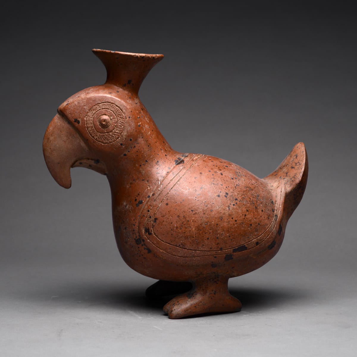 Colima Terracotta Vessel in the Form of a Parrot, 300 BCE - 300 CE