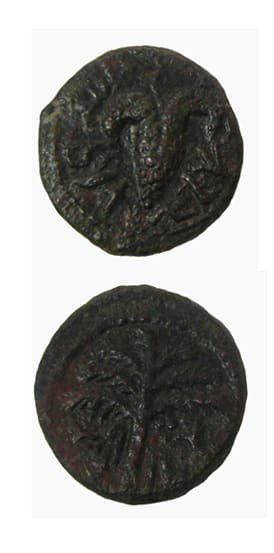 Bronze Coin Minted During the Bar Kochba Revolt, 132 CE - 135 CE