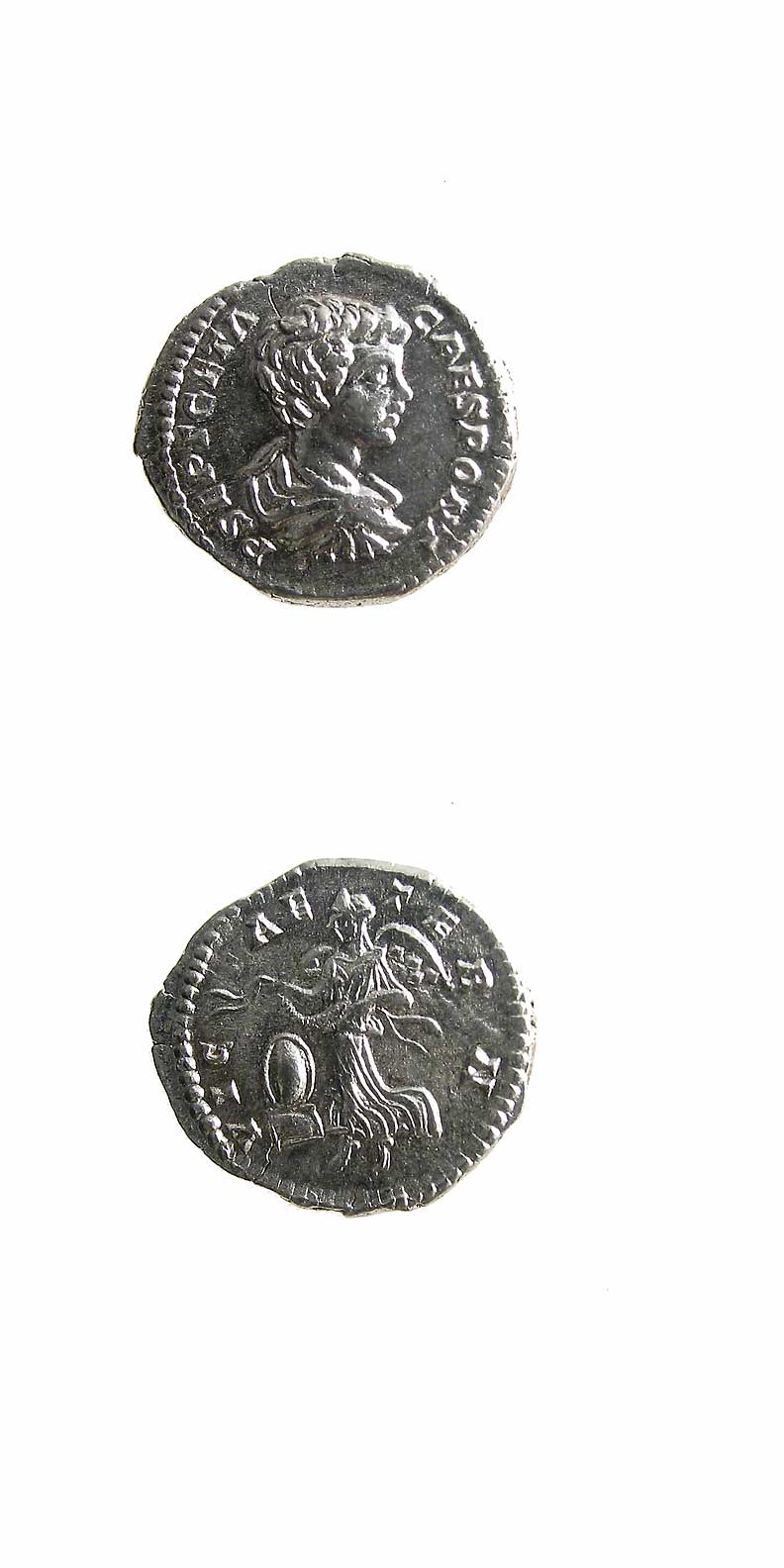 Silver Denarius of Geta Struck While Caesar, 199 CE - 202 CE