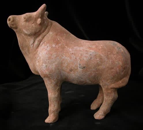 Tang Terracotta Sculpture of a Standing Ox, 618 CE - 906 CE
