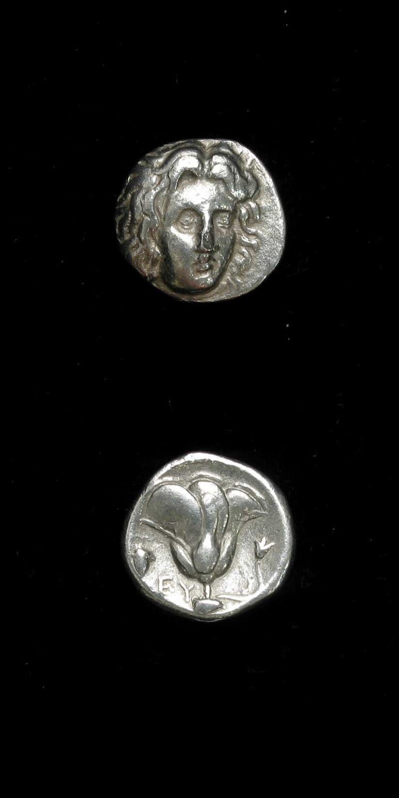Silver Stater of Rhodes, 4 Century BCE - 3rd Century BCE