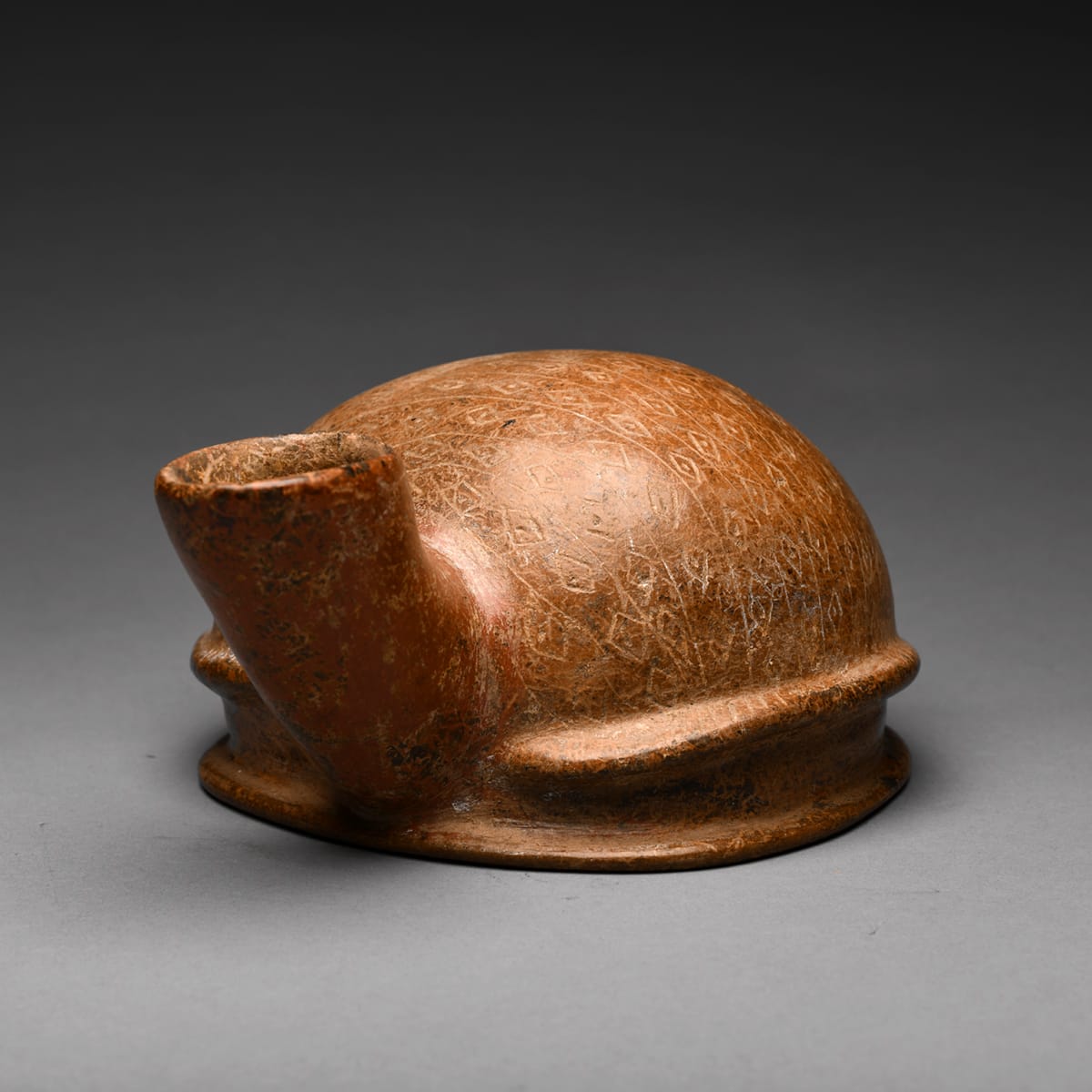 Colima Terracotta Vessel in the Form of a Shell, 300 BCE - 300 CE