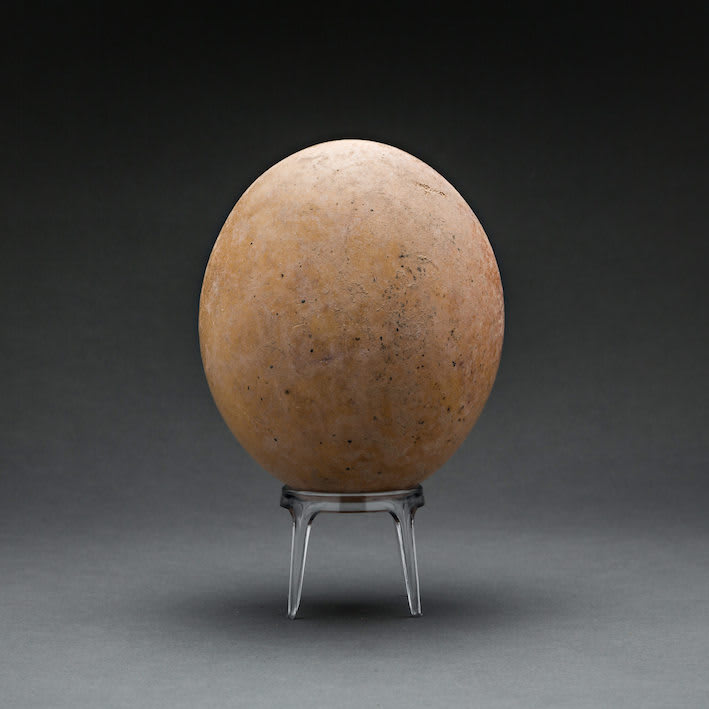 Set of Six Bronze Age Ostrich Eggs, 2700 BCE - 2100 BCE