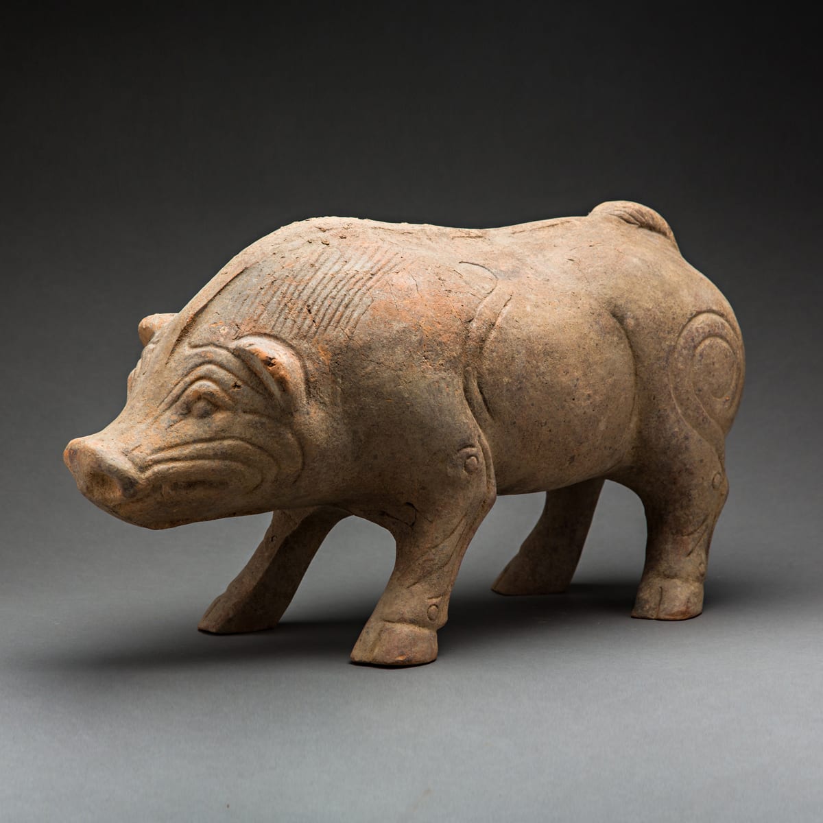 Eastern Han Terracotta Sculpture of a Pig, 23 CE - 220 CE
