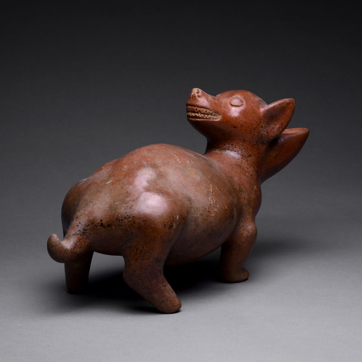Colima Terracotta Sculpture of a Dog, 300 BCE - 300 CE