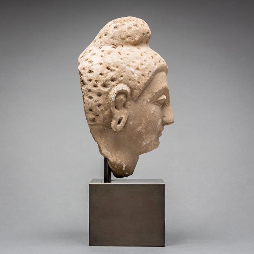 Gandharan Stucco Buddha Head, 100 CE - 300 CE