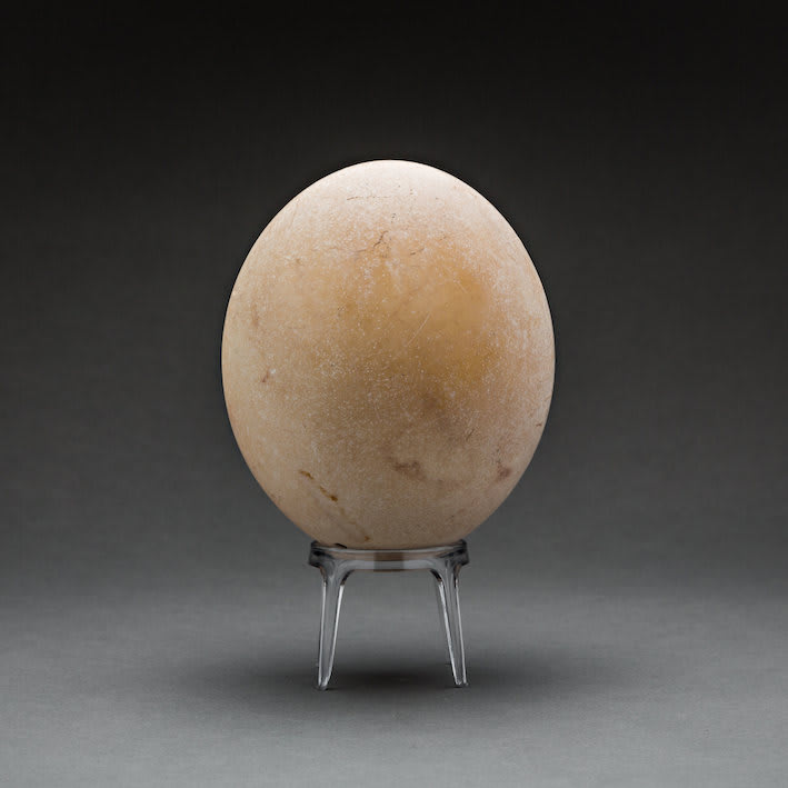 Set of Six Bronze Age Ostrich Eggs, 2700 BCE - 2100 BCE