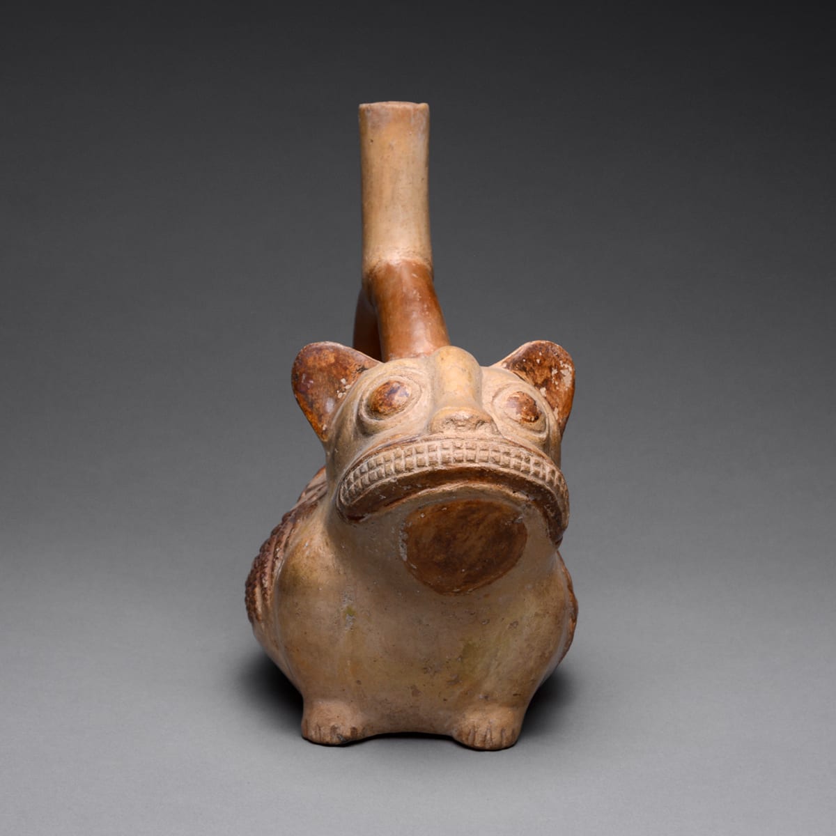 Moche Feline Effigy Vessel with Vegetable Motifs, 200 BCE - 1 CE