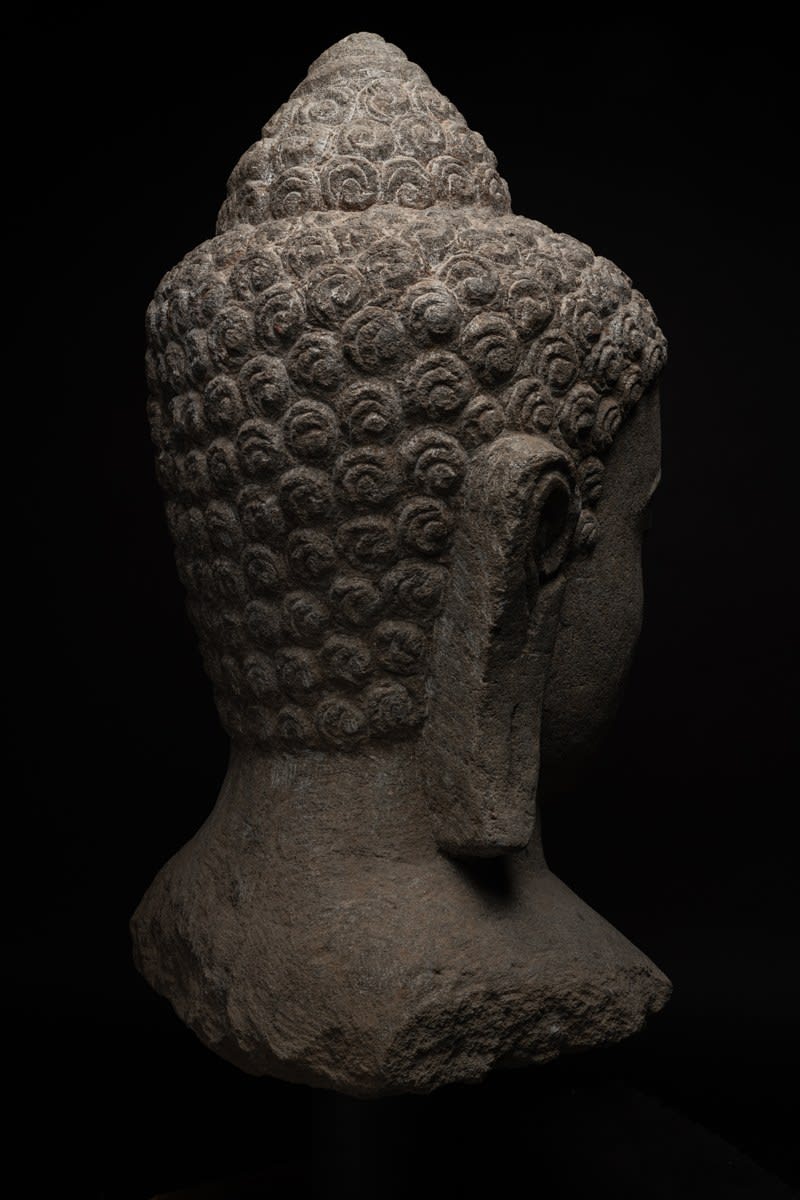 Monumental Javanese Head of the Buddha, Ninth Century AD