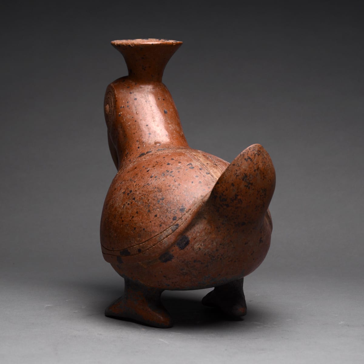 Colima Terracotta Vessel in the Form of a Parrot, 300 BCE - 300 CE