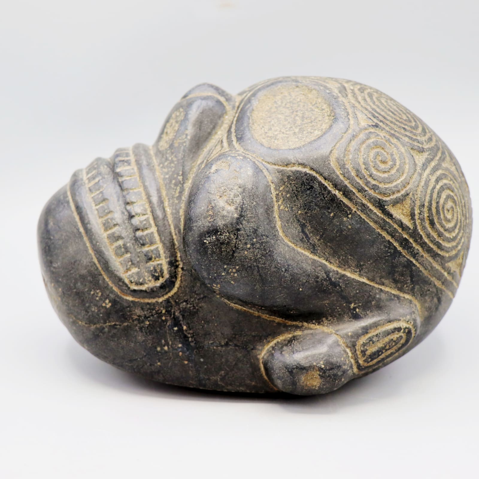 Taíno 'Macorix' Skull, AD 1300 - AD 1500