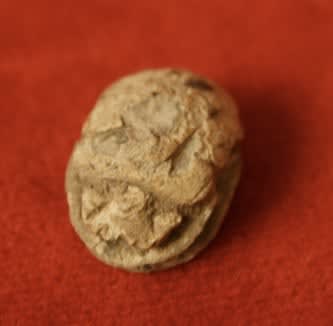 New Kingdom Steatite Scarab Seal, 1600 BCE - 1100 BCE