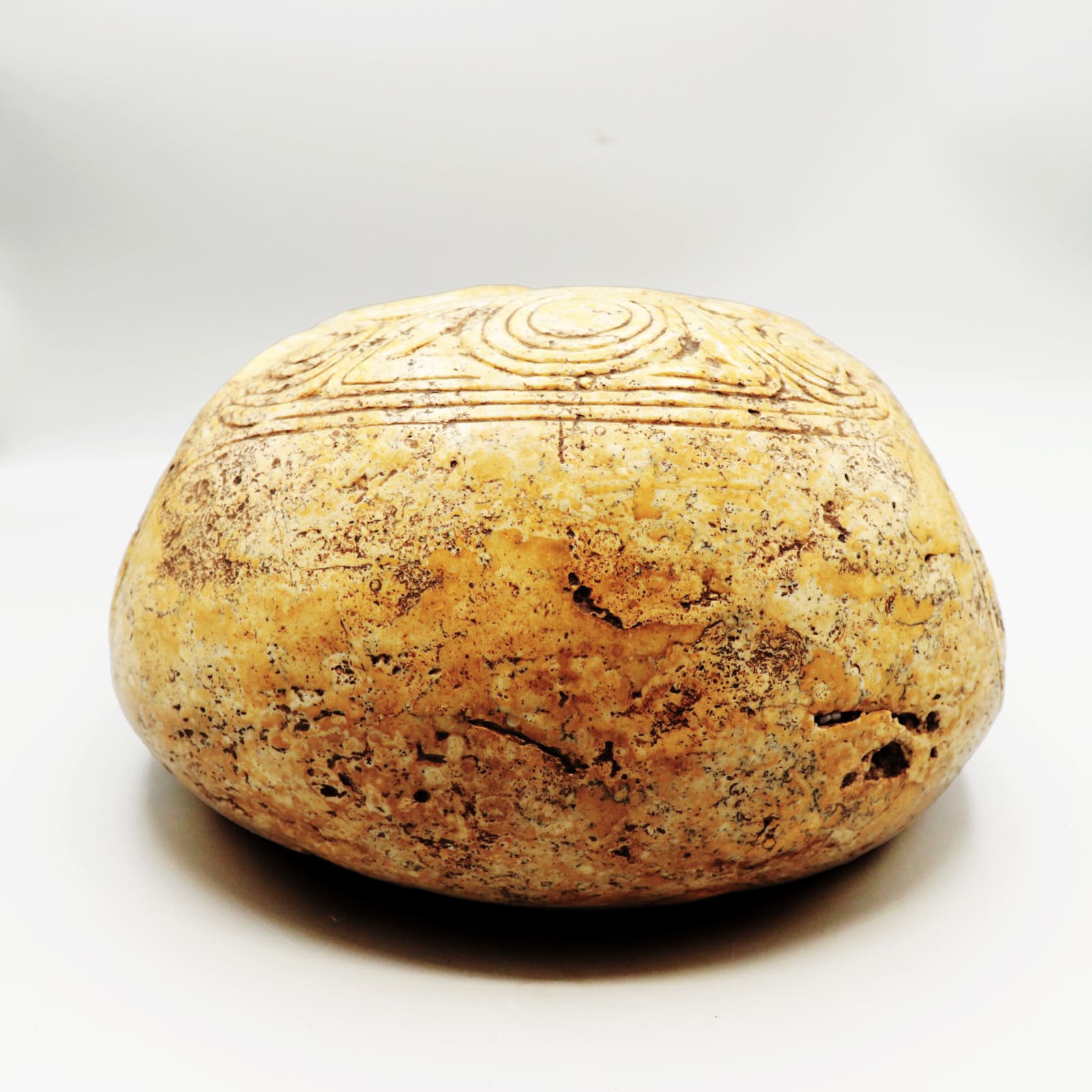 Taíno 'Macorix' Decorated Skull, 1400 CE - 1500 CE