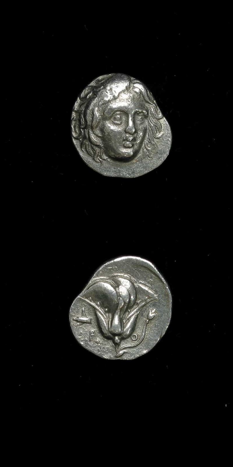 Silver Stater of Rhodes, 4 Century BCE - 3rd Century BCE