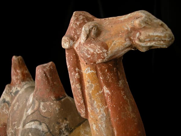 Tang Terracotta Sculpture of a Camel, 618 CE - 906 CE