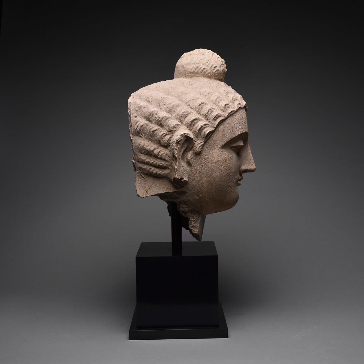 Gandhara Stucco Head of the Buddha, 2nd Century CE - 3rd Century CE