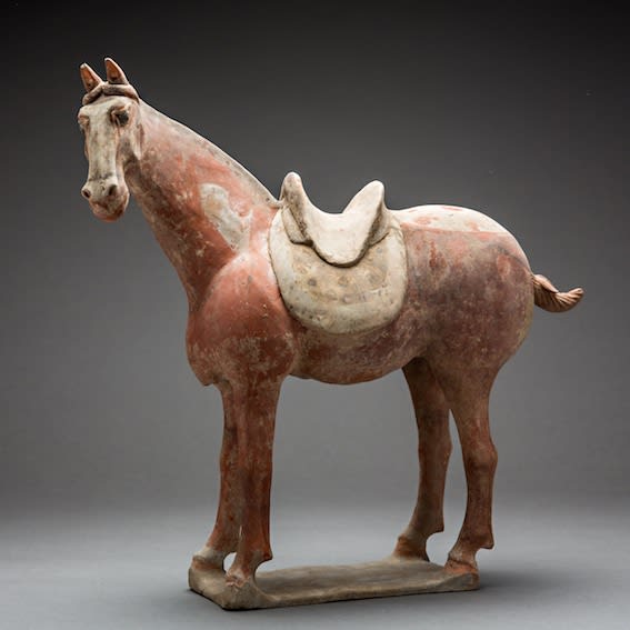 Tang Dynasty Funerary Figure of a Horse, AD 618 - AD 906