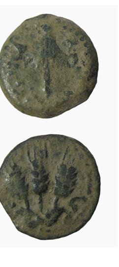 Jewish Bronze Prutah of King Agrippa I, 42 CE