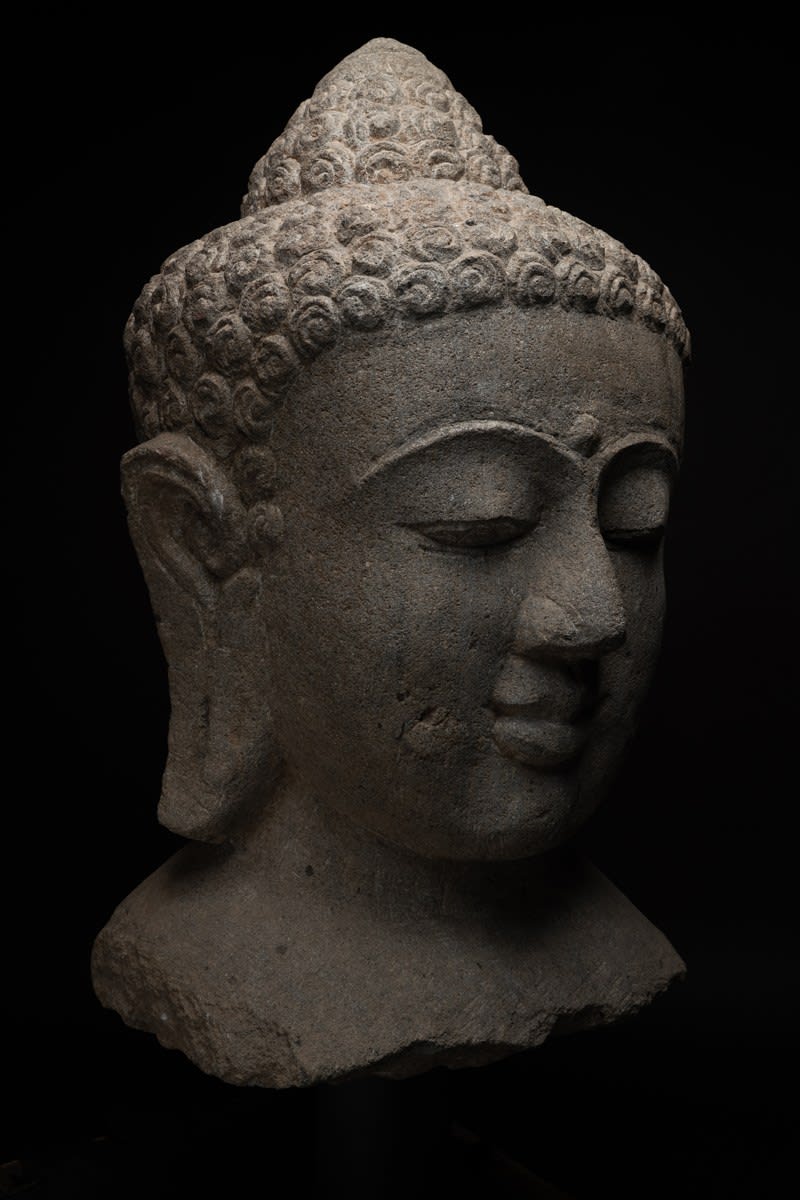 Monumental Javanese Head of the Buddha, Ninth Century AD