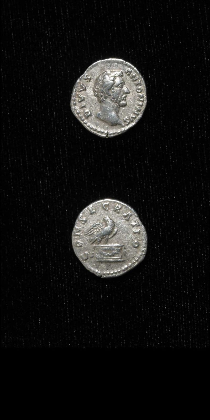 Silver Denarius of Emperor Antoninus Pius Issued Posthumously by Marcus Aurelius and Lucius Verus, 161 CE - 162 CE