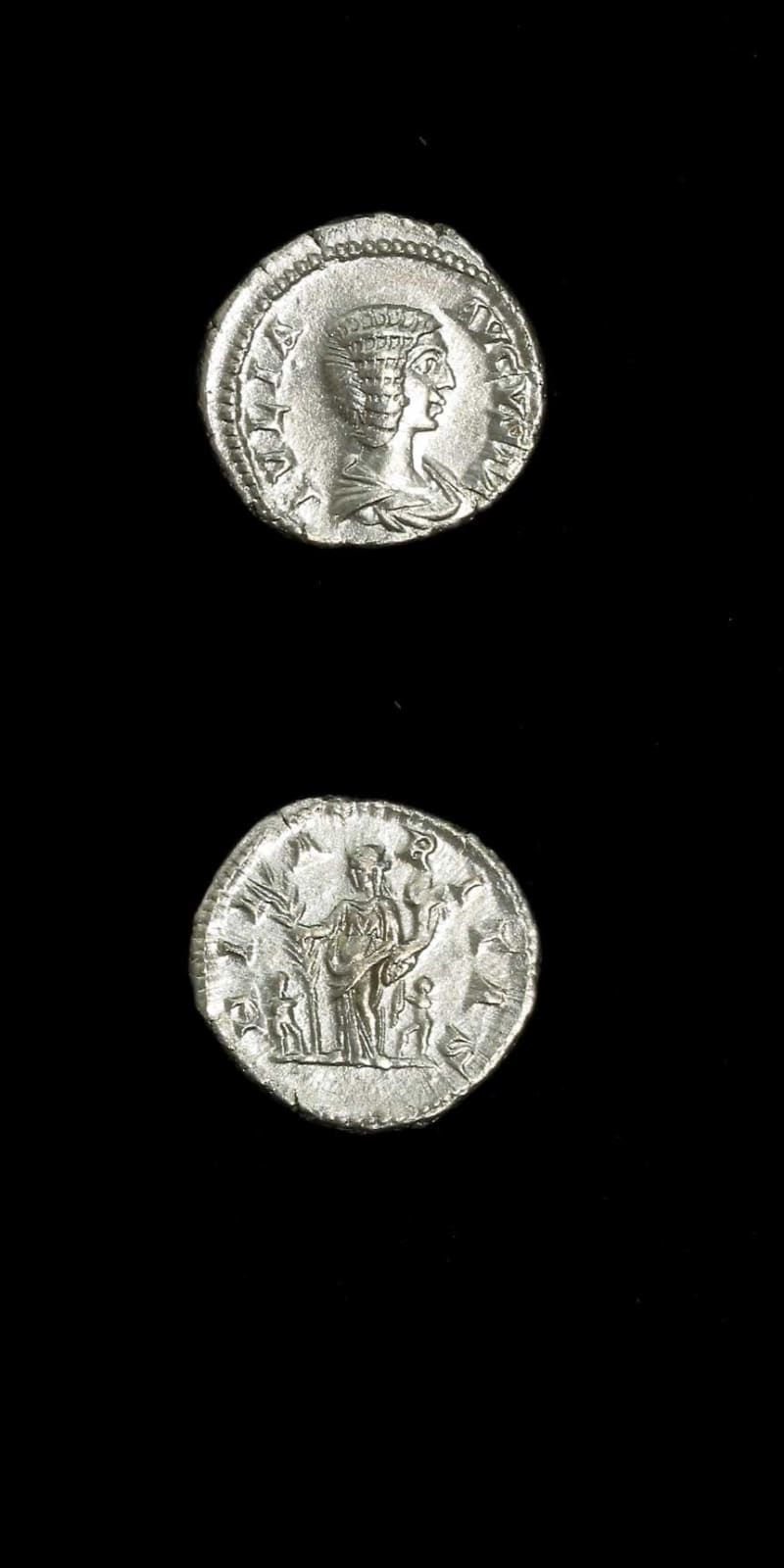 Silver Denarius of Empress Julia Domna, 196 CE - 211 CE