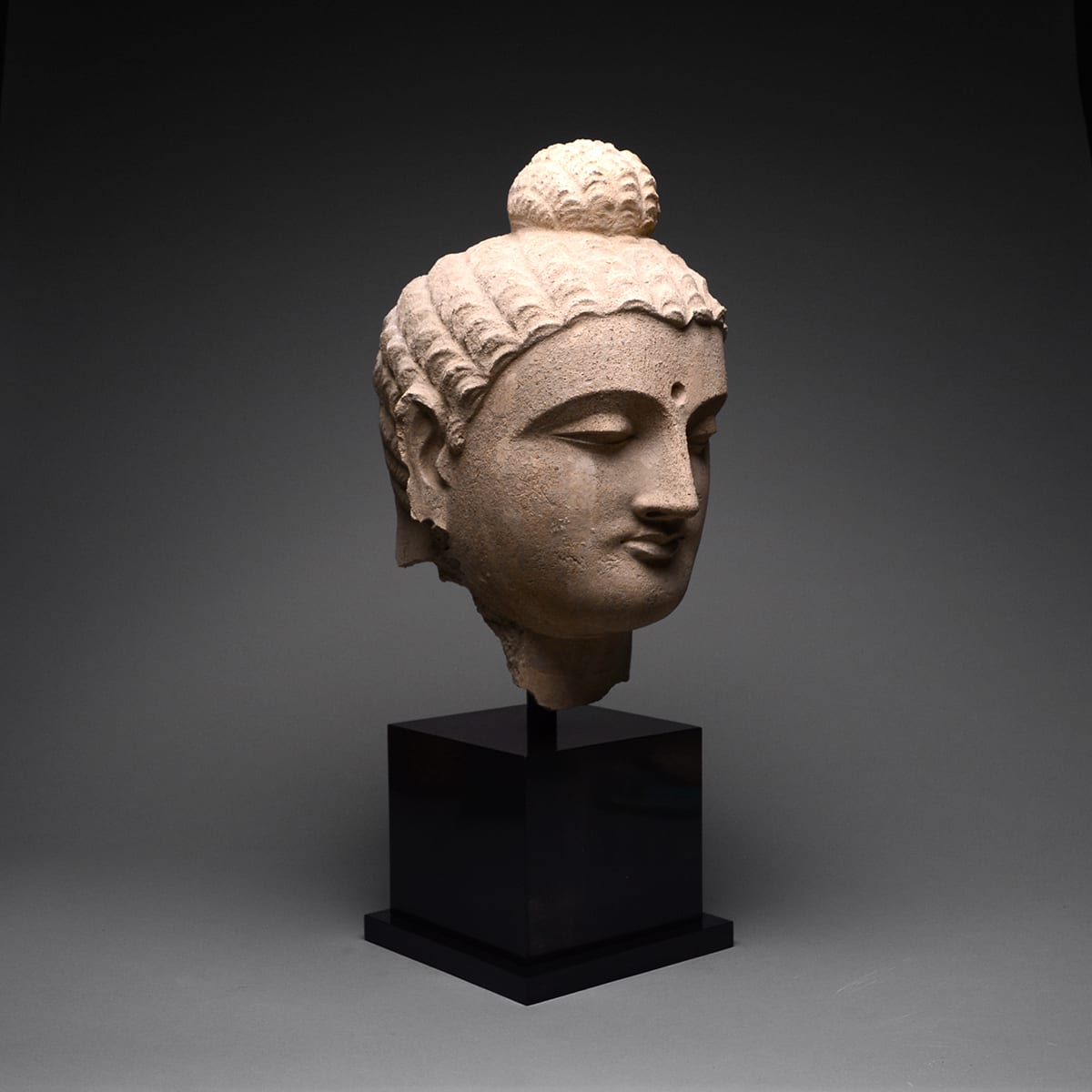 Gandhara Stucco Head of the Buddha, 2nd Century CE - 3rd Century CE