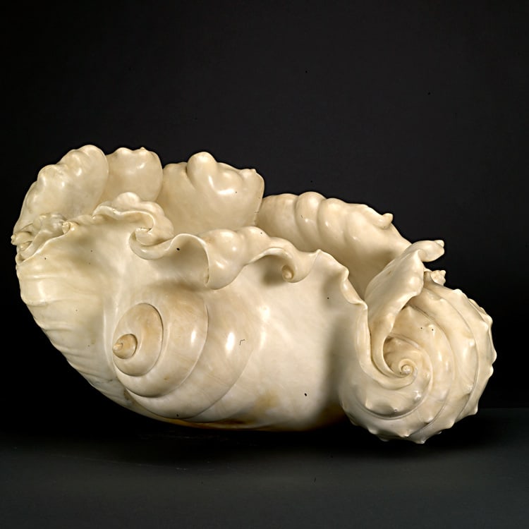 Hellenistic Marble Shell, 300 BCE - 100 BCE