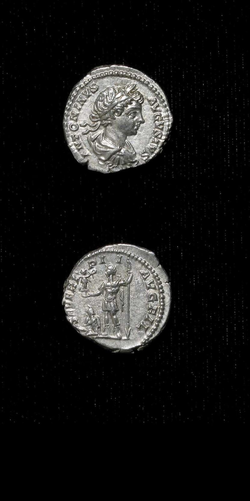 Silver Denarius of Emperor Caracalla, 199 CE - 201 CE