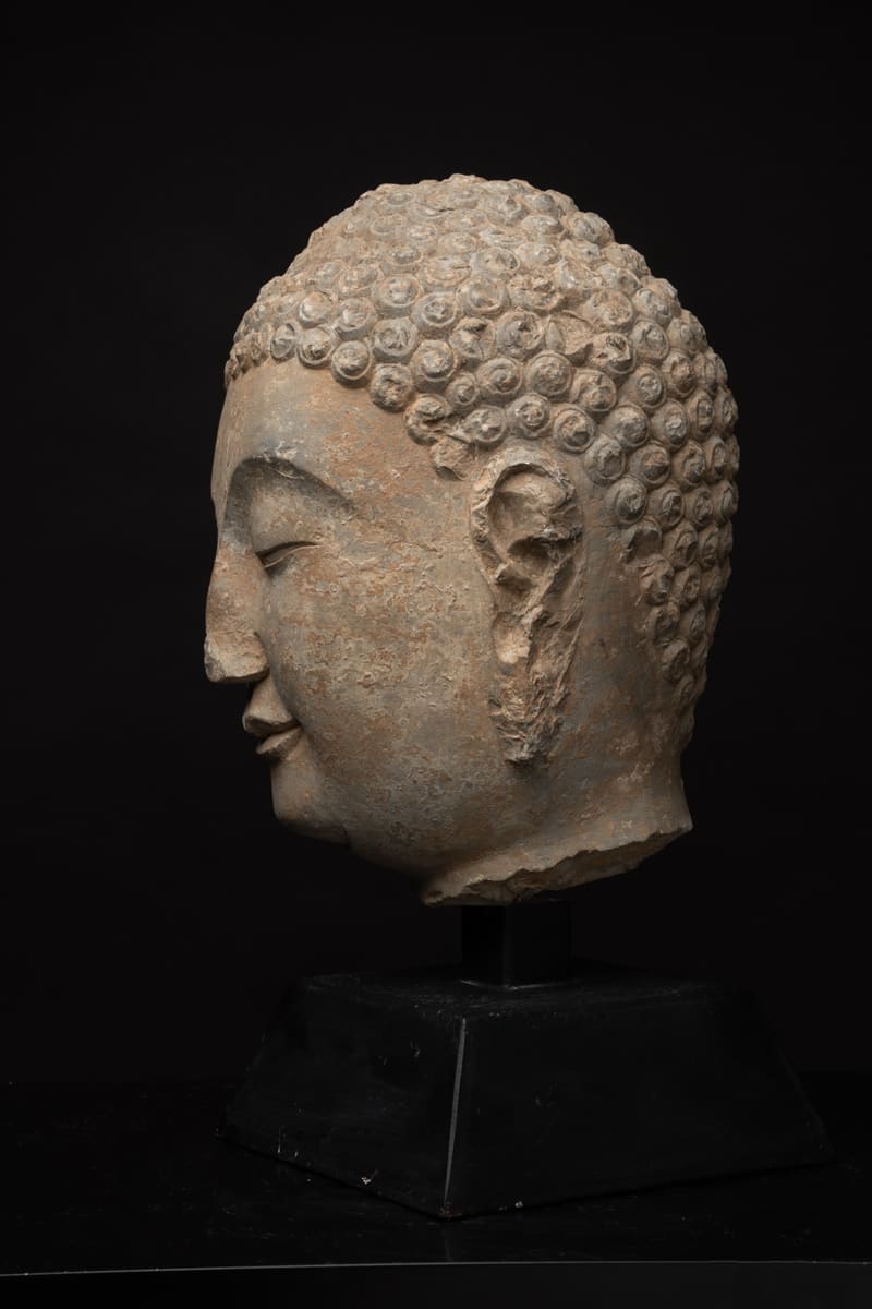 Sui Stone Head of a Buddha, 581 CE - 618 CE