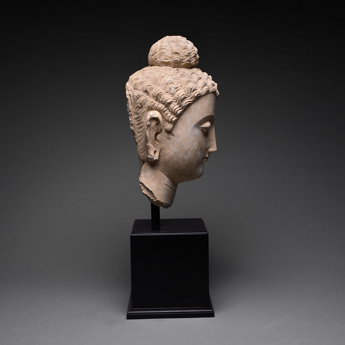 Gandharan Stucco Head of the Buddha, 4th Century CE - 5th