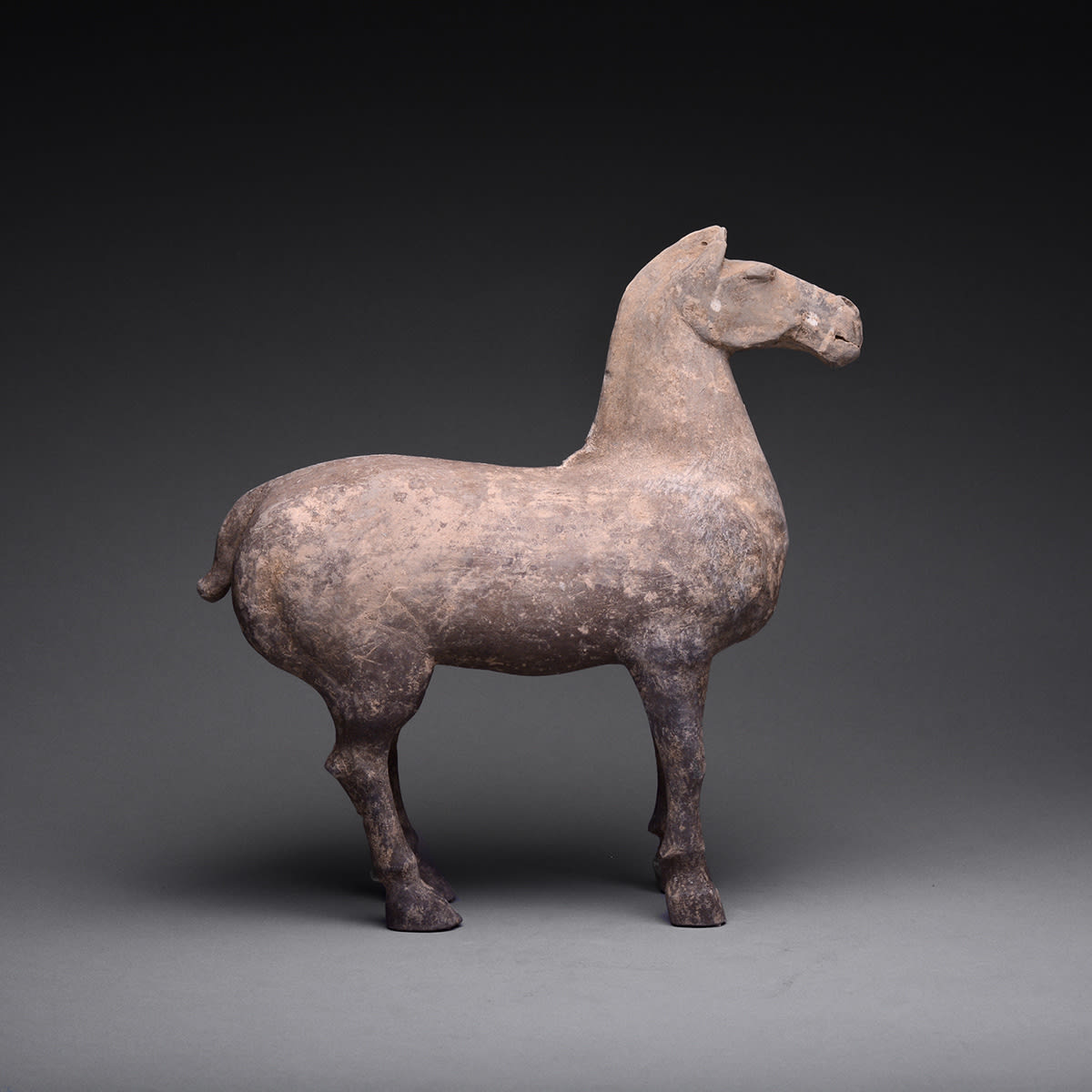 Han Sculpture of a Horse, 206 BCE - 220 CE