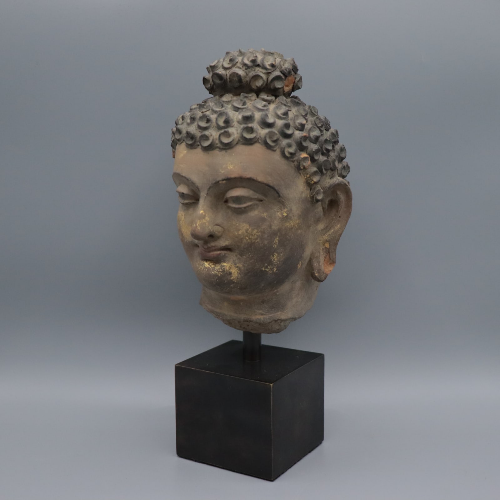 Gandharan Stucco Head of the Buddha, 100 to 300 CE