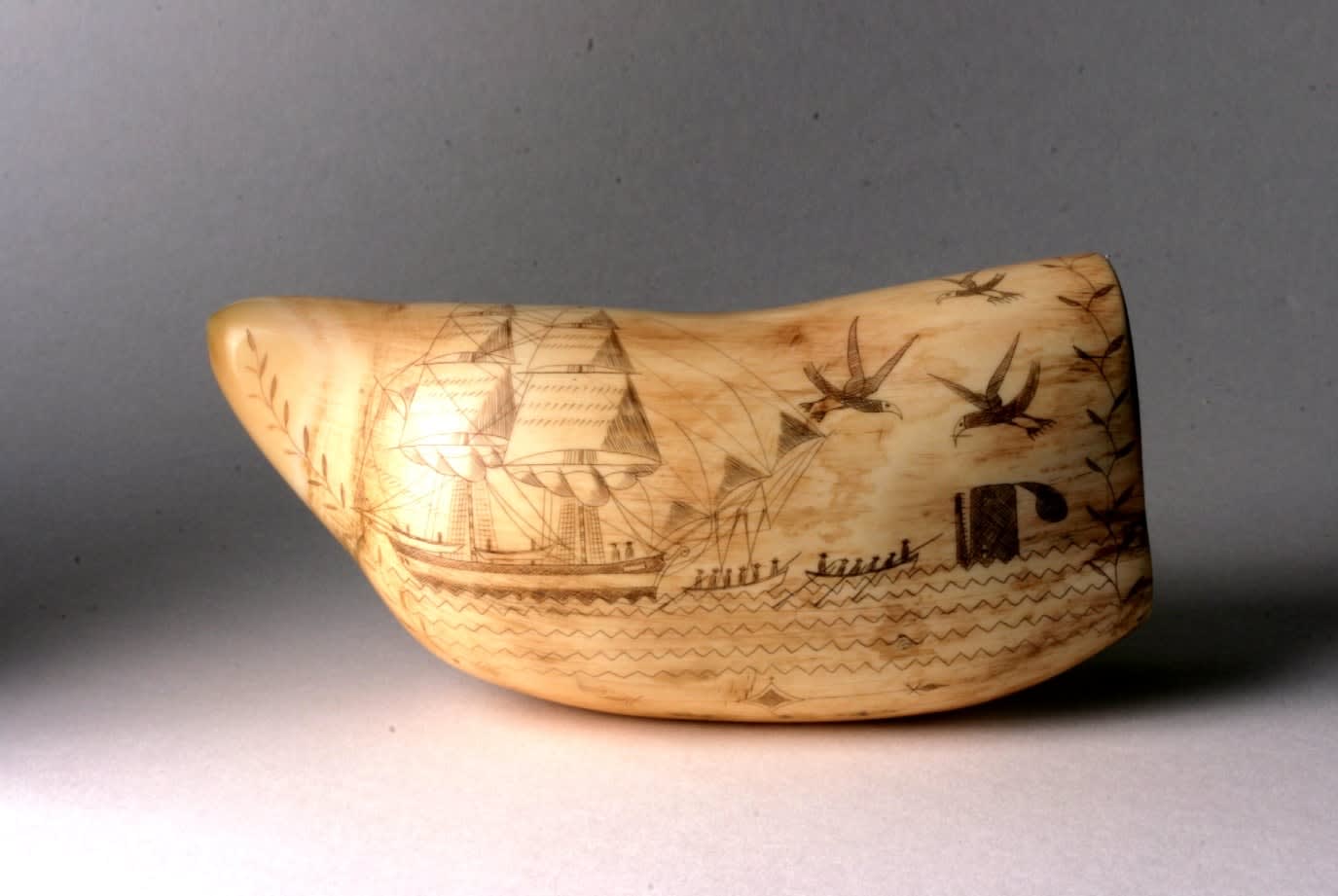 Scrimshaw ivory, 19th Century CE