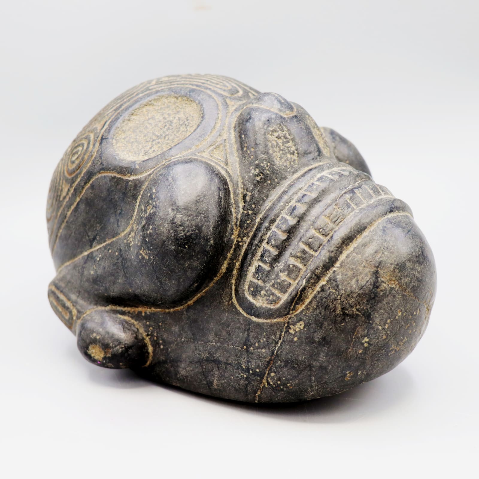 Taíno 'Macorix' Skull, AD 1300 - AD 1500