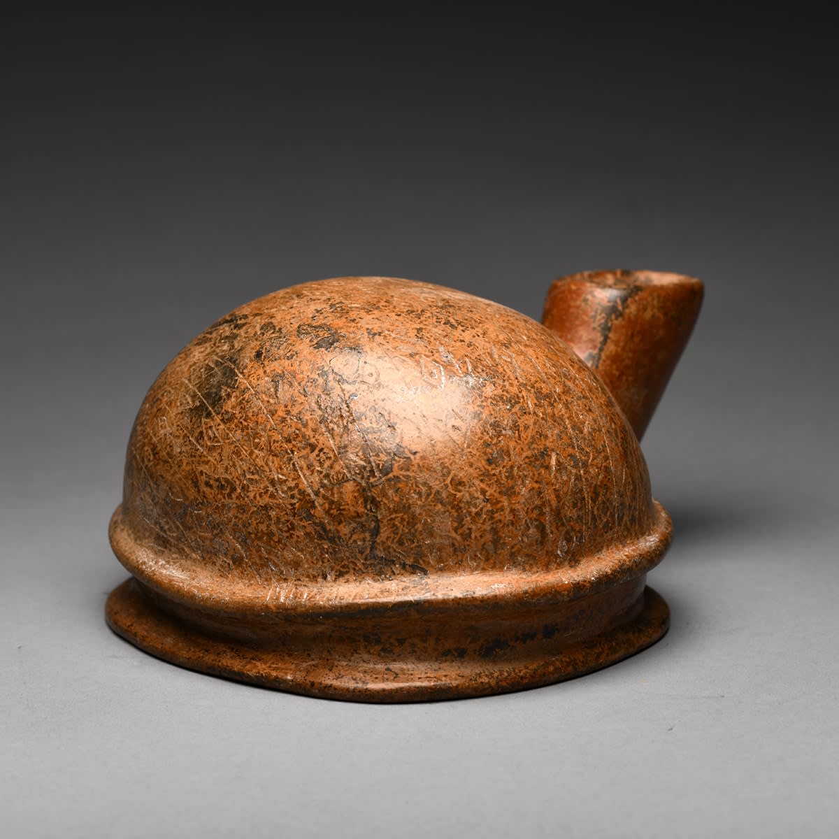 Colima Terracotta Vessel in the Form of a Shell, 300 BCE - 300 CE