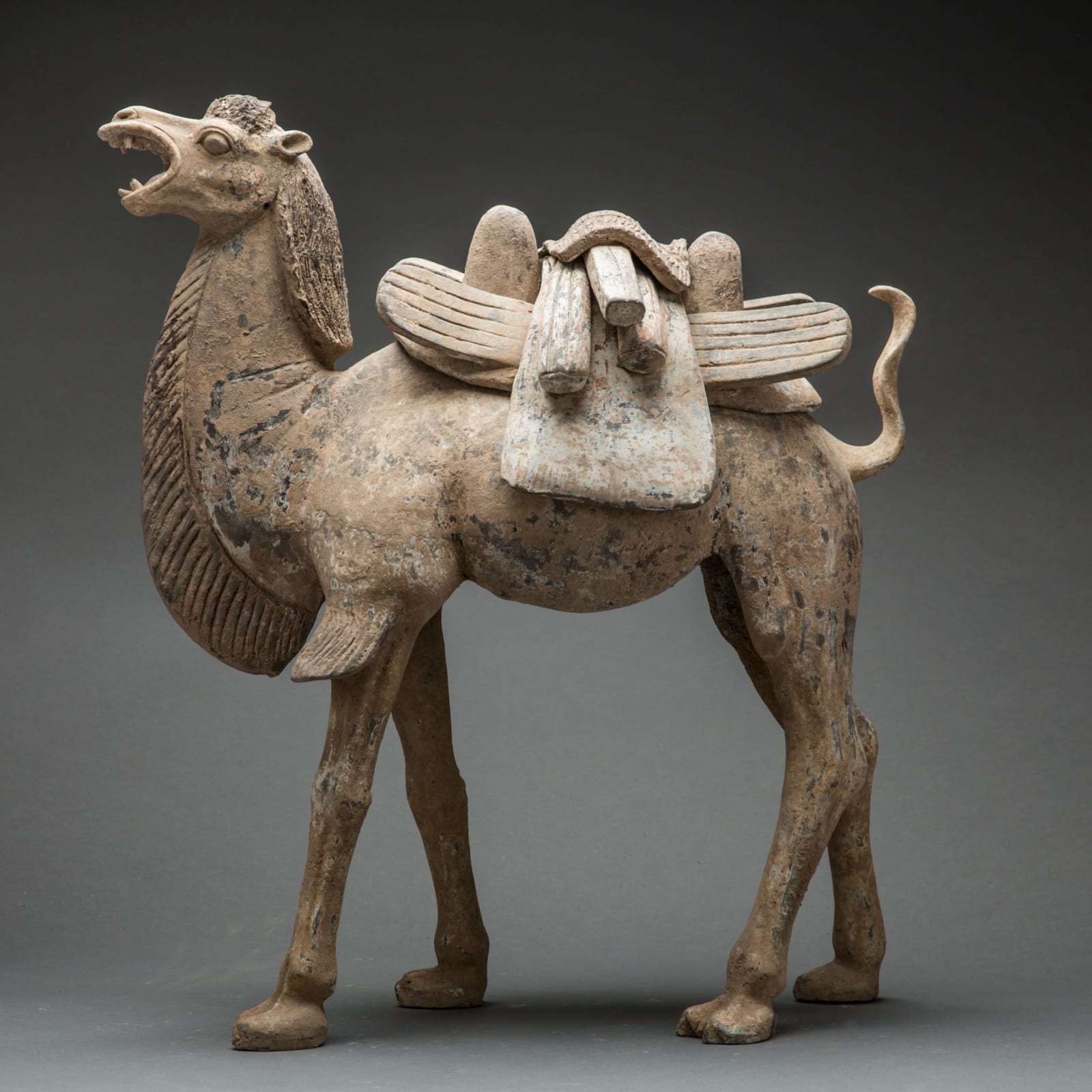 Early Tang Terracotta Camel with Removable Saddle, 7th Century CE - 8th Century CE