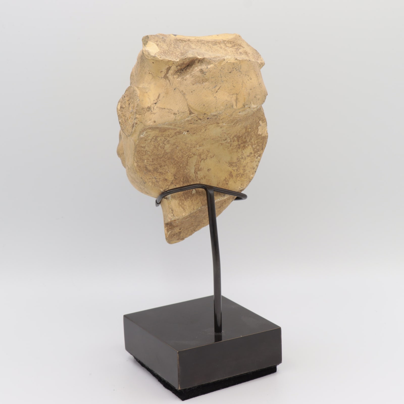 Late Dynastic Limestone Head of the Apis Bull, c. 600 to 400 BCE