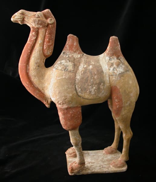 Tang Terracotta Sculpture of a Camel, 618 CE - 906 CE